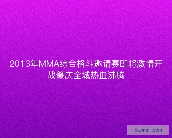 2013年MMA综合格斗邀请赛即将激情开战肇庆全城热血沸腾