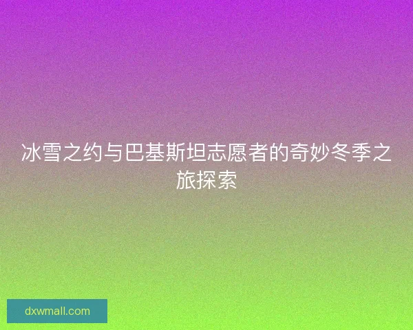 冰雪之约与巴基斯坦志愿者的奇妙冬季之旅探索
