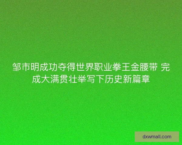 邹市明成功夺得世界职业拳王金腰带 完成大满贯壮举写下历史新篇章 邹市明成功夺得世界职业拳王金腰带 完成大满贯壮举写下历史新篇章